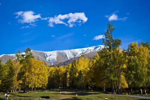 微信图片_20200918151225 微信图片_20200918151225