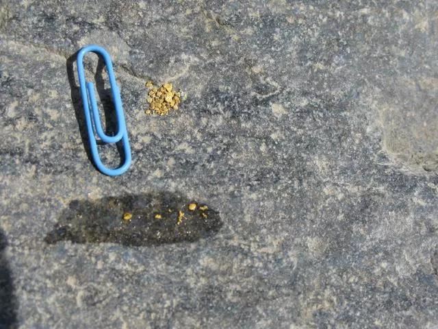 微信图片_20200918151238 微信图片_20200918151238