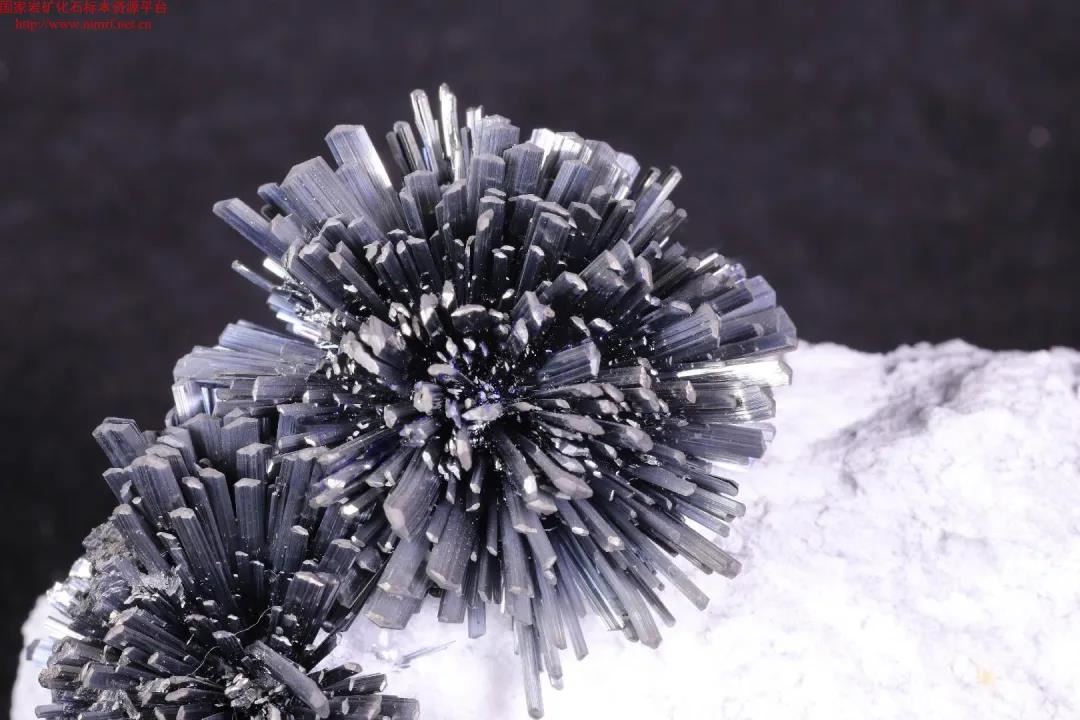 微信图片_20200918151614 微信图片_20200918151614