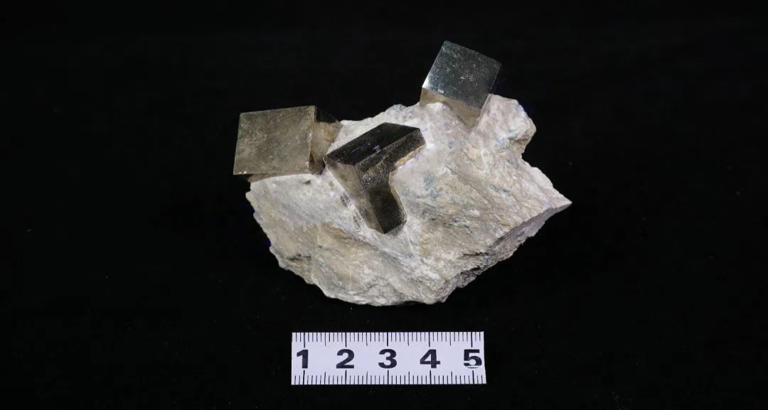 微信图片_20200918151636 诚信图片_2020091812151636.