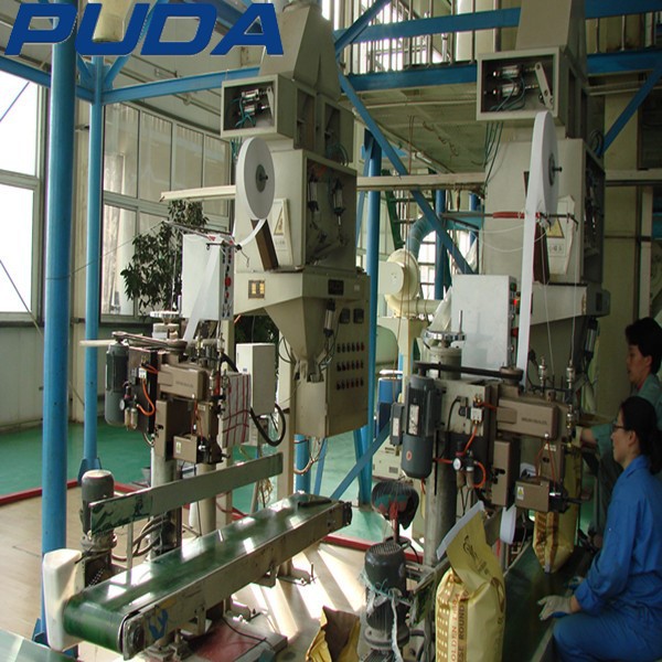 grain small bag filling and packing machine 小粒打包机