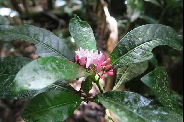 微信图片_20200901143256