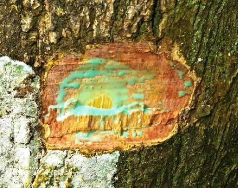 微信图片_20200901143319