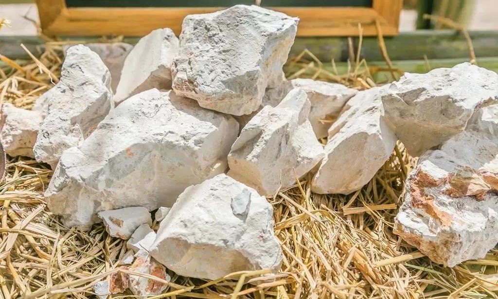 中国的四大发展趋势