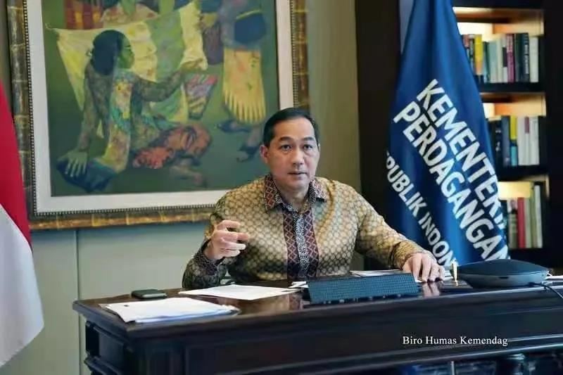 印度尼西亚商务部长：欧盟害怕在印度尼西亚开发镍下游行业